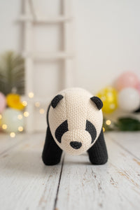 Oso Panda Pequeño